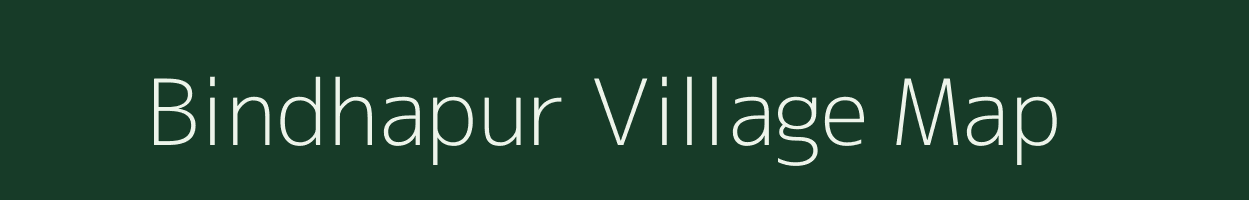 Bindhapur village map in Odisha