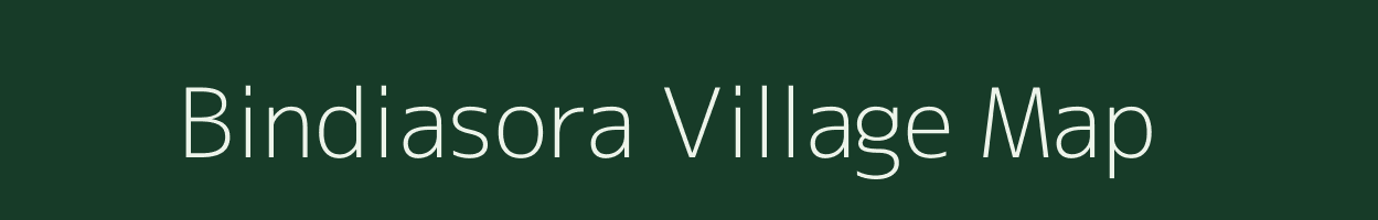 Bindiasora village map in Mizoram