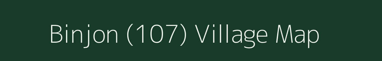 Binjon (107) village map in Punjab