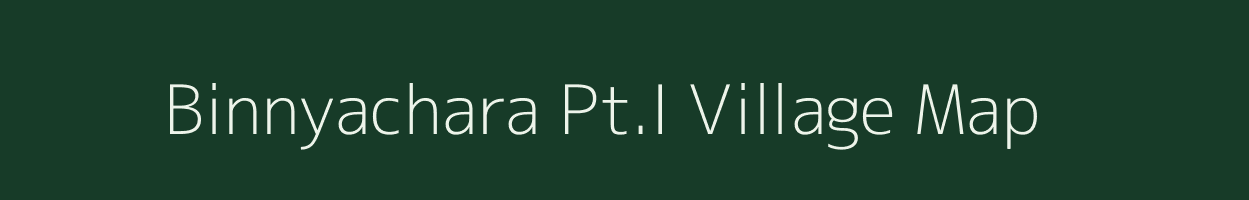 Binnyachara Pt.I village map in Assam