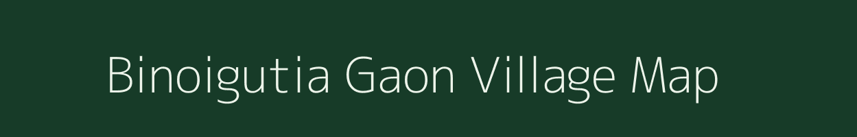 Binoigutia Gaon village map in Assam
