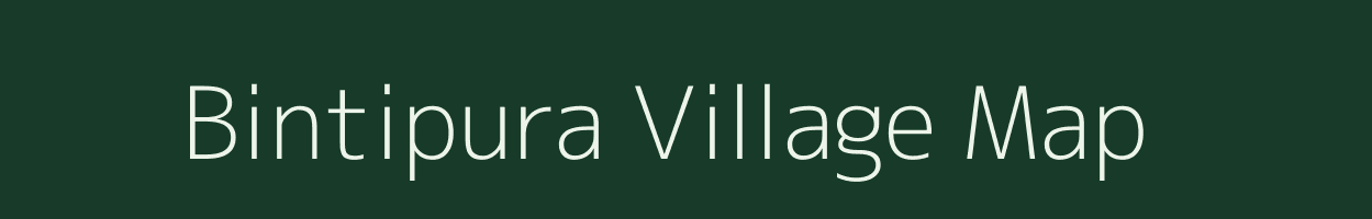 Bintipura village map in Rajasthan