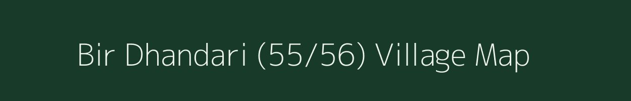 Bir Dhandari (55/56) village map in Haryana