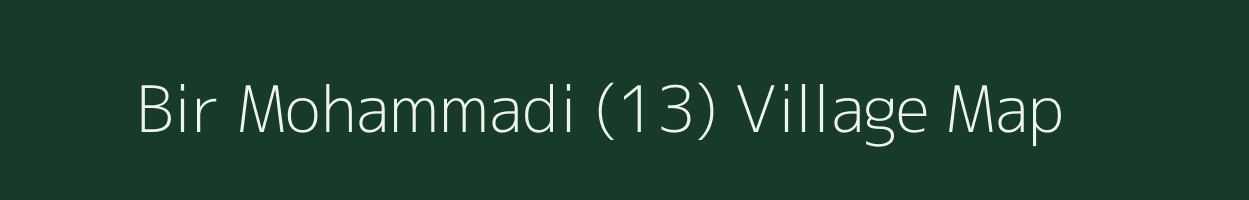 Bir Mohammadi (13) village map in Punjab