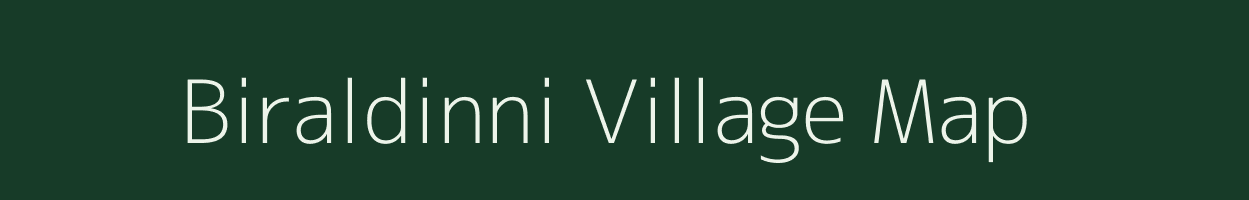 Biraldinni village map in Karnataka