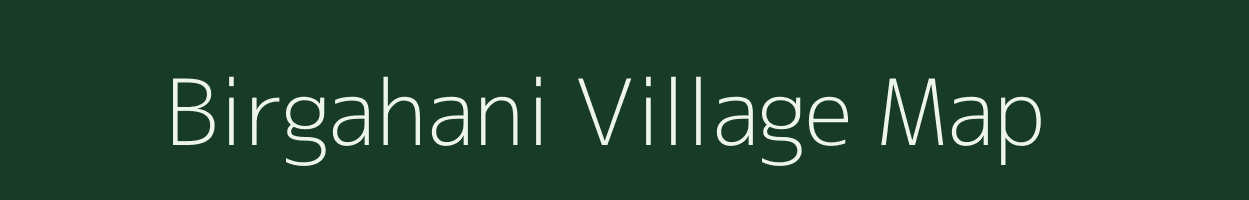 Birgahani village map in Chhattisgarh