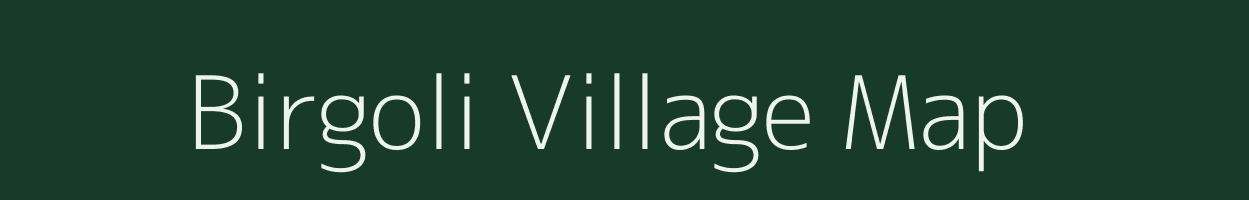 Birgoli village map in Uttarakhand