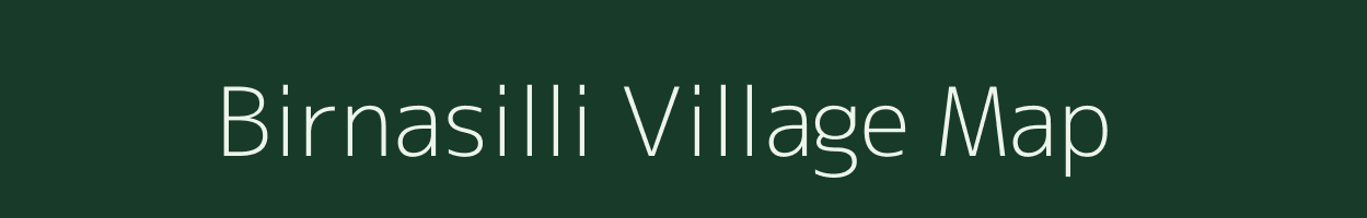 Birnasilli village map in Chhattisgarh