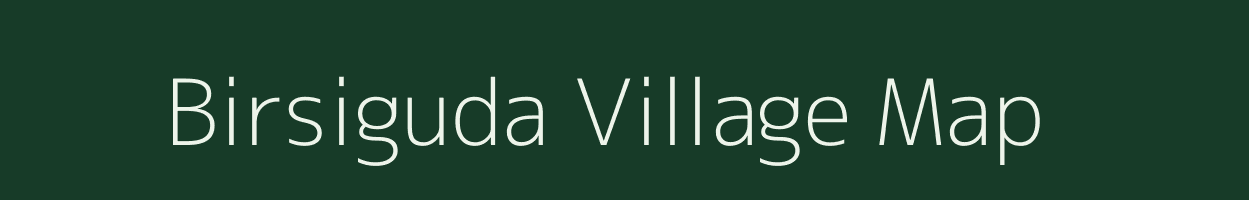 Birsiguda village map in Odisha