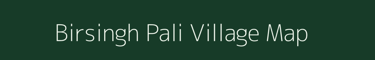 Birsingh Pali village map in Chhattisgarh