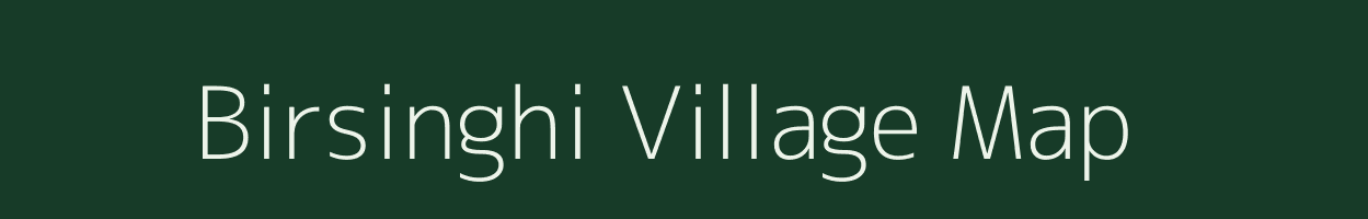 Birsinghi village map in Chhattisgarh