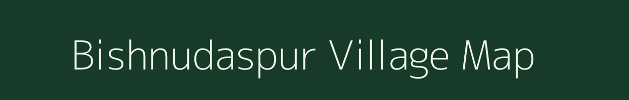 Bishnudaspur village map in Odisha