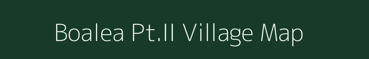 Boalea Pt.II village map in Assam