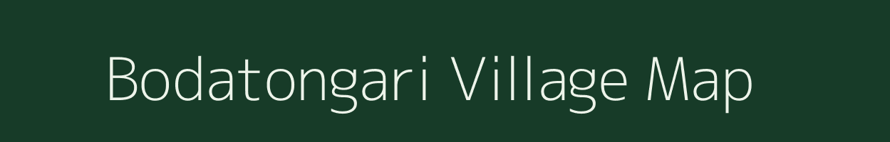 Bodatongari village map in Chhattisgarh