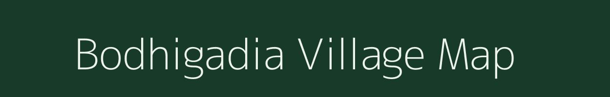 Bodhigadia village map in Odisha