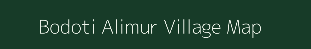 Bodoti Alimur village map in Assam