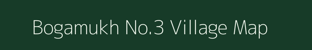 Bogamukh No.3 village map in Assam