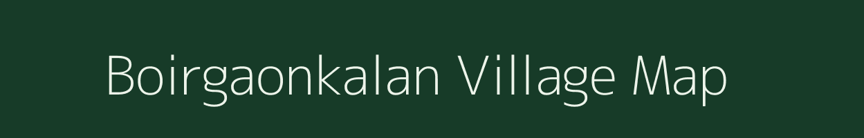 Boirgaonkalan village map in Chhattisgarh