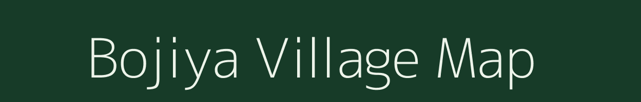 Bojiya village map in Chhattisgarh