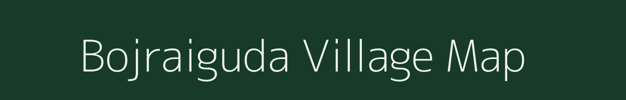 Bojraiguda village map in Chhattisgarh