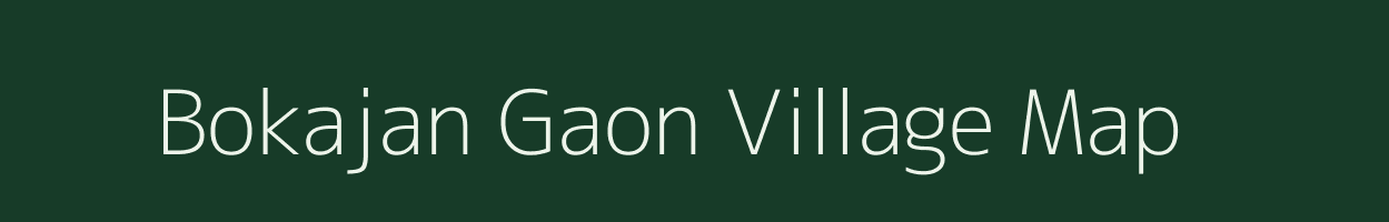 Bokajan Gaon village map in Assam