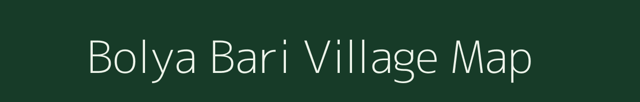 Bolya Bari village map in Rajasthan