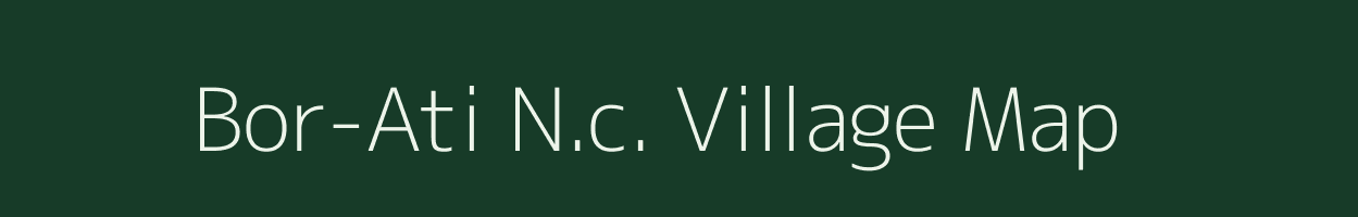 Bor-Ati N.c. village map in Assam