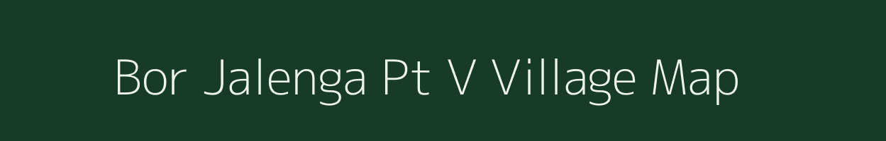 Bor Jalenga Pt V village map in Assam