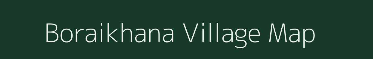 Boraikhana village map in Assam