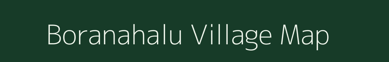 Boranahalu village map in Karnataka