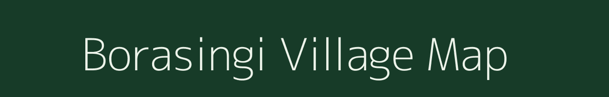 Borasingi village map in Odisha