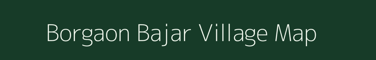 Borgaon Bajar village map in Maharashtra