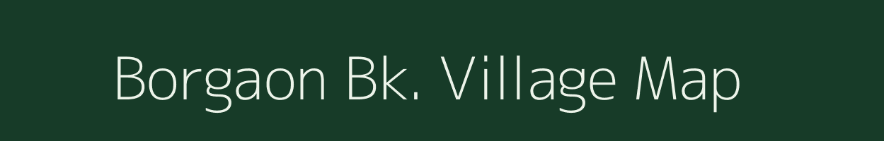 Borgaon Bk. village map in Maharashtra