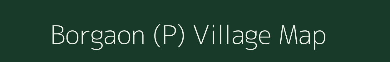 Borgaon (P) village map in Andhra Pradesh