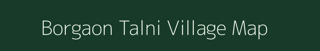 Borgaon Talni village map in Maharashtra