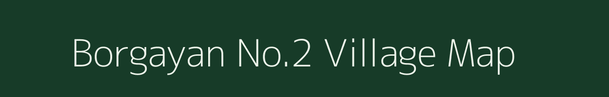 Borgayan No.2 village map in Assam
