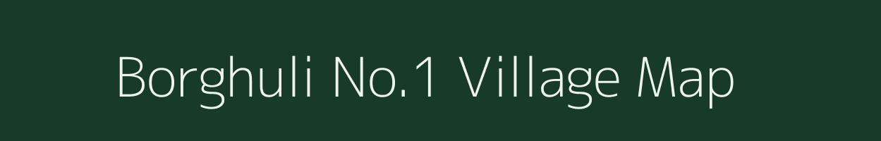 Borghuli No.1 village map in Assam