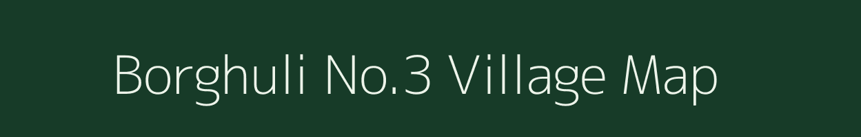 Borghuli No.3 village map in Assam