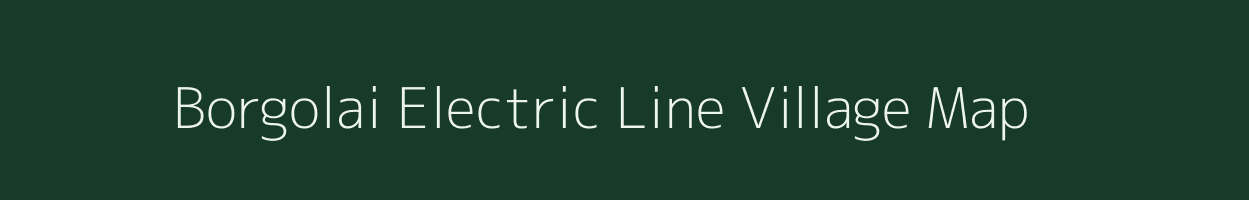 Borgolai Electric Line village map in Assam