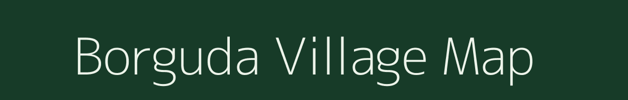 Borguda village map in Chhattisgarh