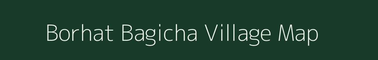 Borhat Bagicha village map in Assam