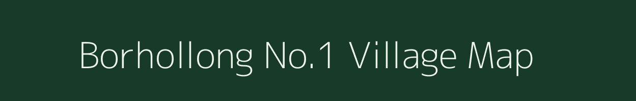 Borhollong No.1 village map in Assam