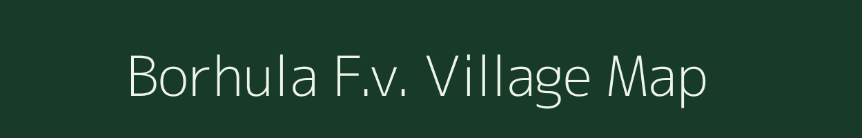 Borhula F.v. village map in Assam