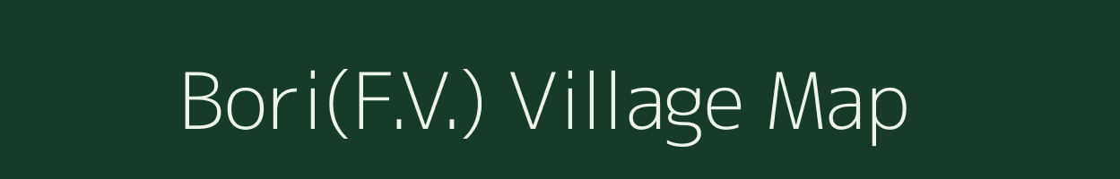 Bori(F.V.) village map in Maharashtra