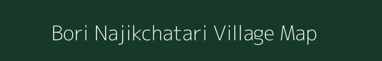 Bori Najikchatari village map in Maharashtra