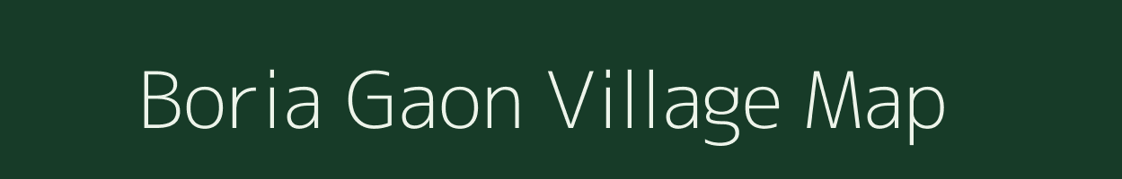 Boria Gaon village map in Assam