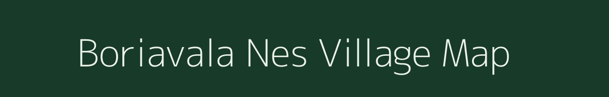 Boriavala Nes village map in Gujarat