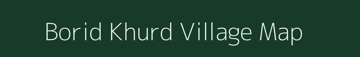Borid Khurd village map in Chhattisgarh
