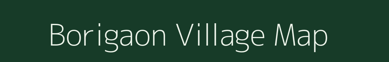 Borigaon village map in Odisha