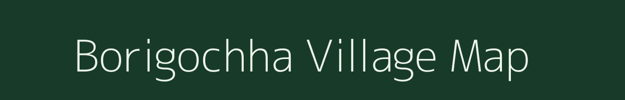 Borigochha village map in Odisha